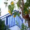 Aliathon Aegean