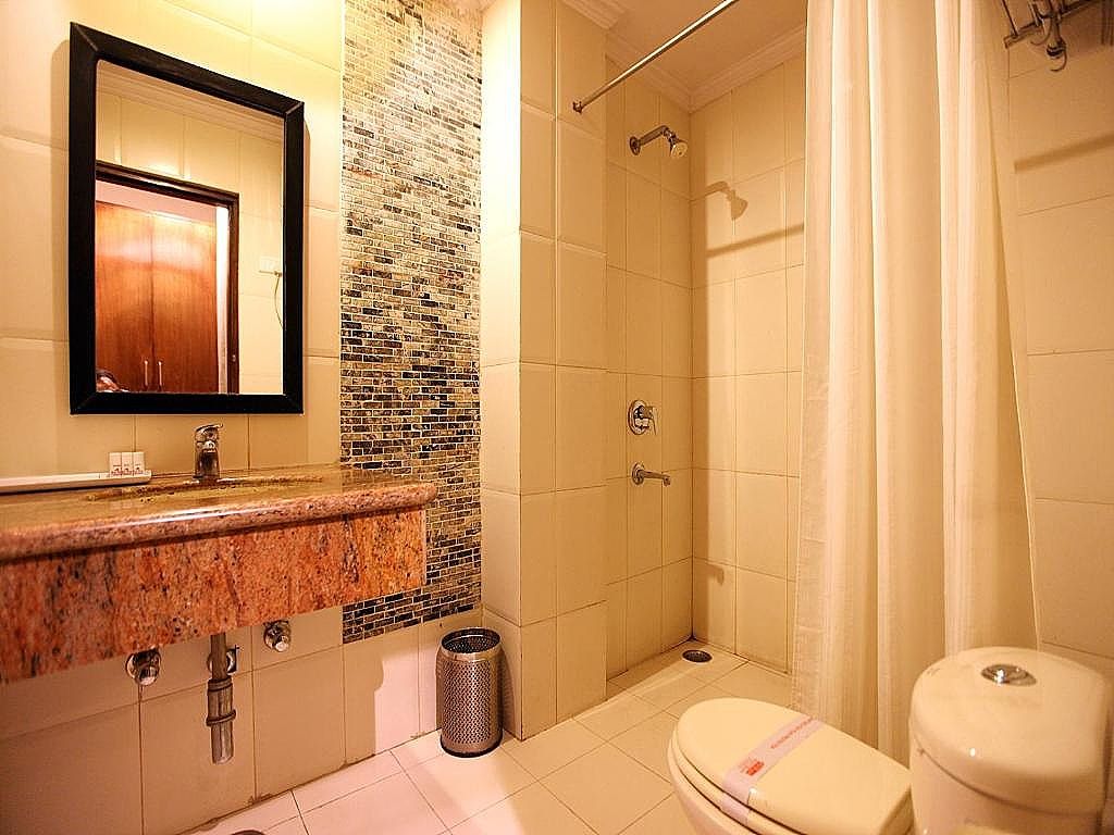 Hotel Waves Delhi Airport Deluxe Room 16