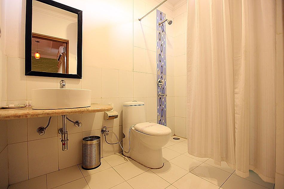 Hotel Waves Delhi Airport Deluxe Room 5