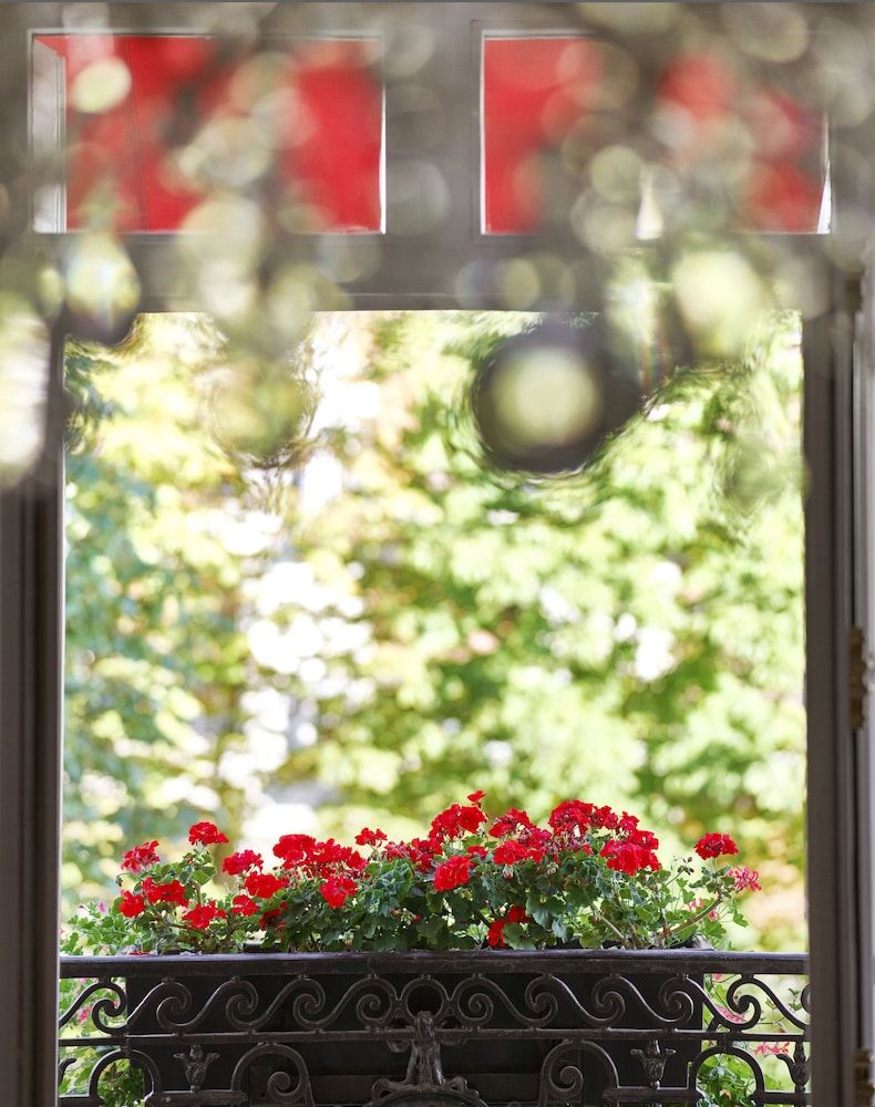 undefined Hôtel Plaza Athénée - Dorchester Collection 9