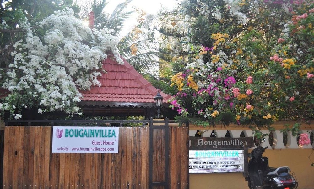 Bougainvillea Guest House