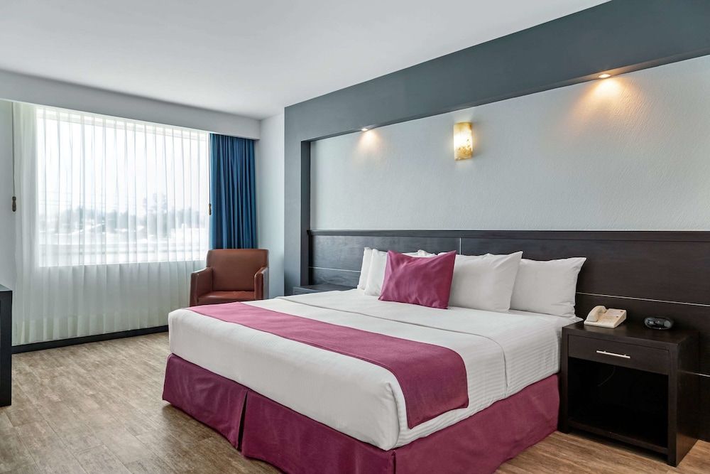 Room, 1 King Bed