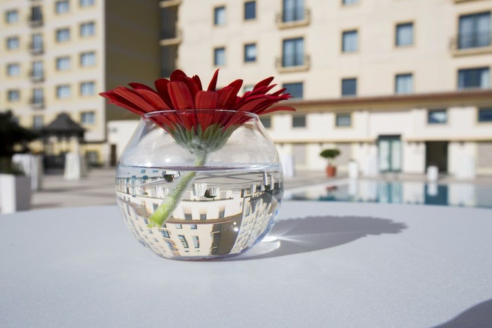 undefined Hyatt Regency Baku 5