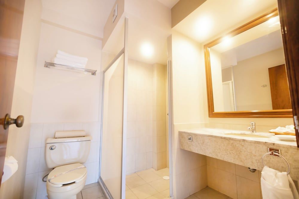 Hotel Plaza Uruapan Traditional Double Room 6