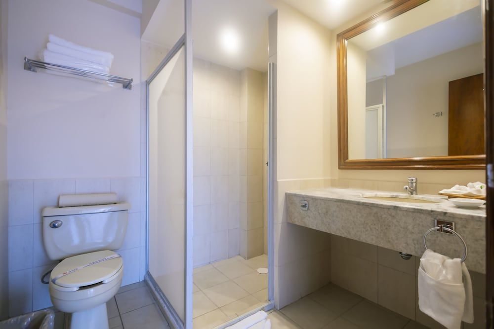 Hotel Plaza Uruapan Traditional Double Room 5