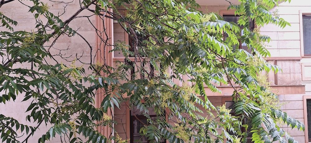 undefined Iliani Hotel 6