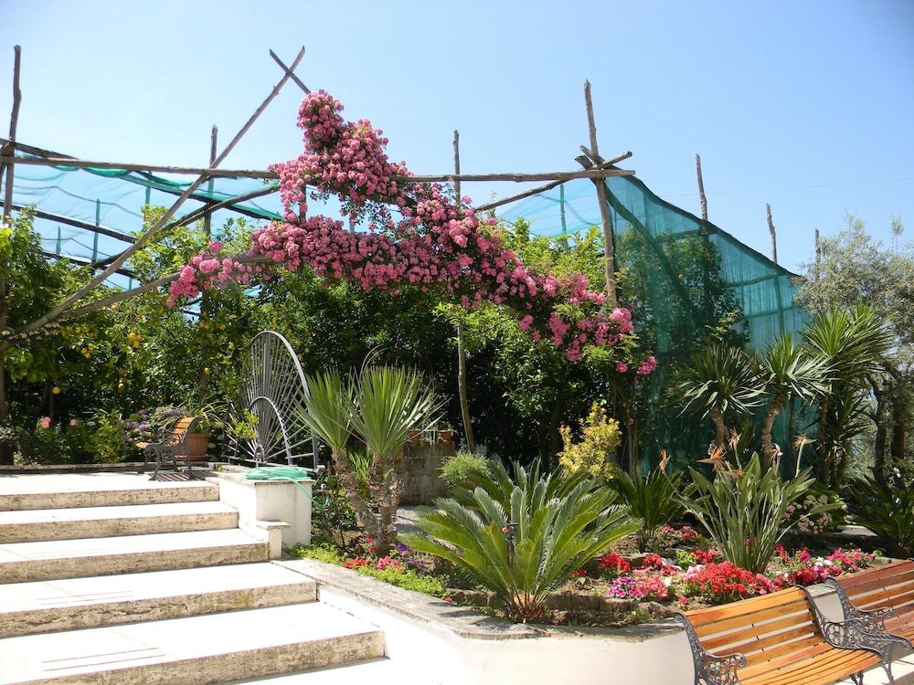 undefined Oasi Madre della Pace 7