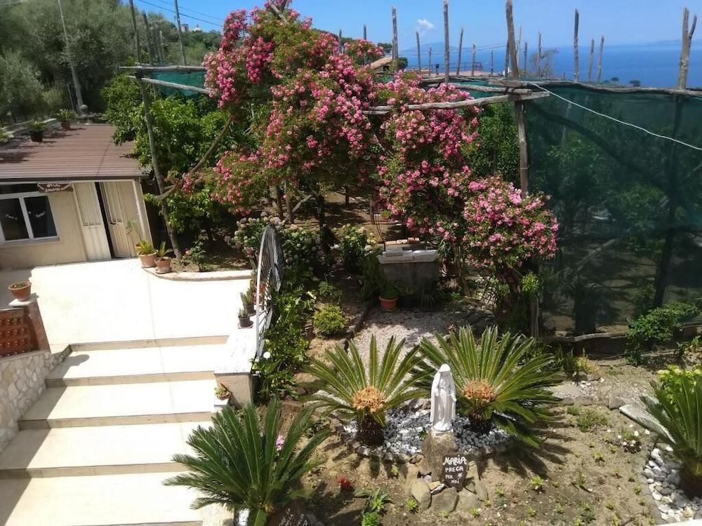 undefined Oasi Madre della Pace 6