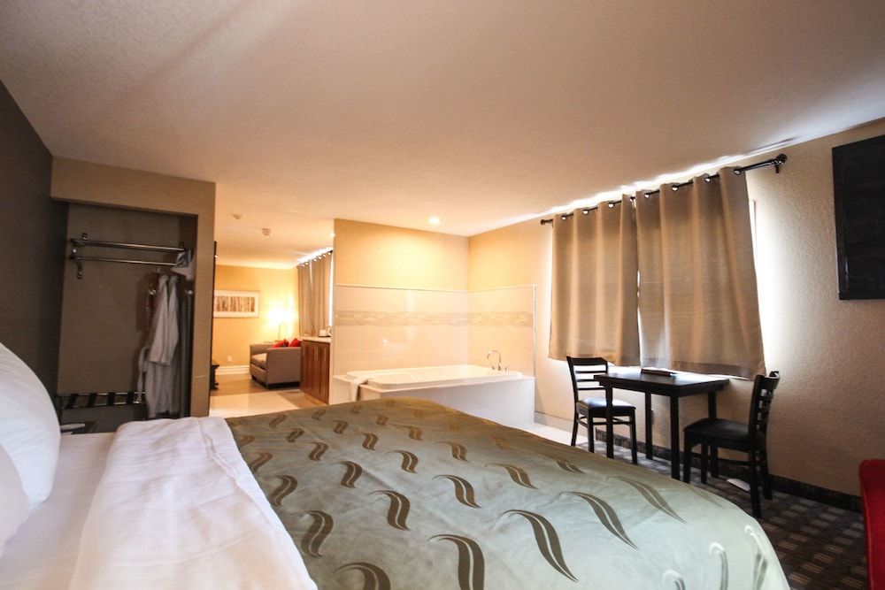 Suite, King and Sofa Bed