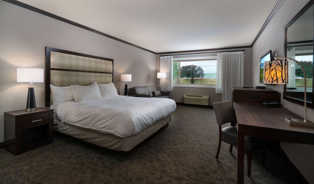 Room, 1 King Bed