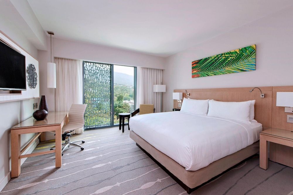 Room, 1 King Bed, Non Smoking