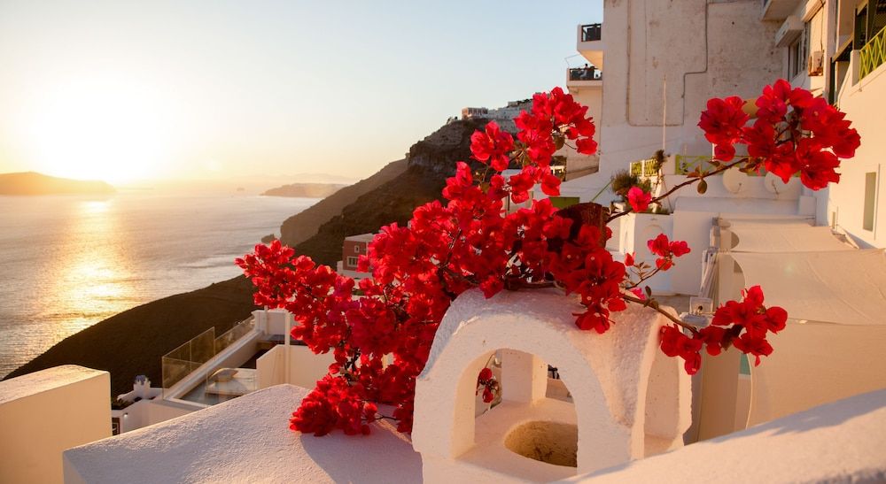 undefined Asha Luxury Suites 2