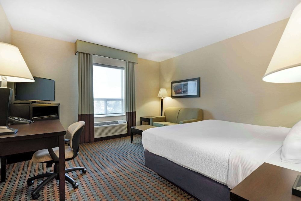 Standard Room, 1 King Bed, Non Smoking, Refrigerator & Microwave (with Sofabed)