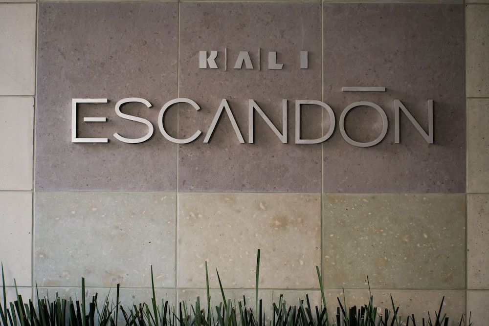 undefined KALI Escandon Mexico City 9