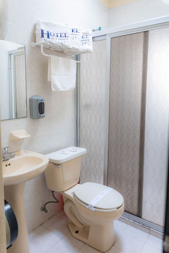 Hotel El Carmen - Morelia Basic Double Room 7