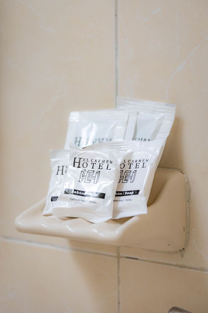 Hotel El Carmen - Morelia Basic Double Room 8