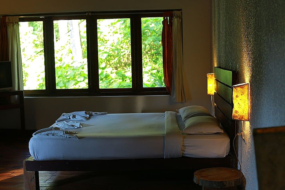 View from room
