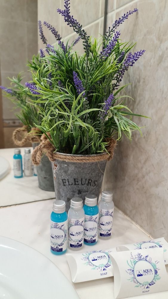 AQUA Hotel Premium Double or Twin Room 5