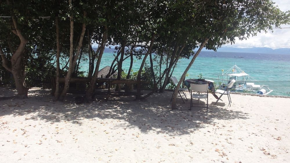 Sea Turtle House Sea Turtle Watch Room 3