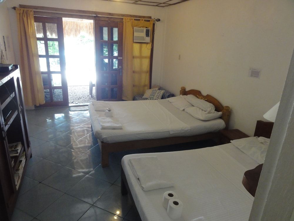 Sea Turtle House Sea Turtle Watch Room