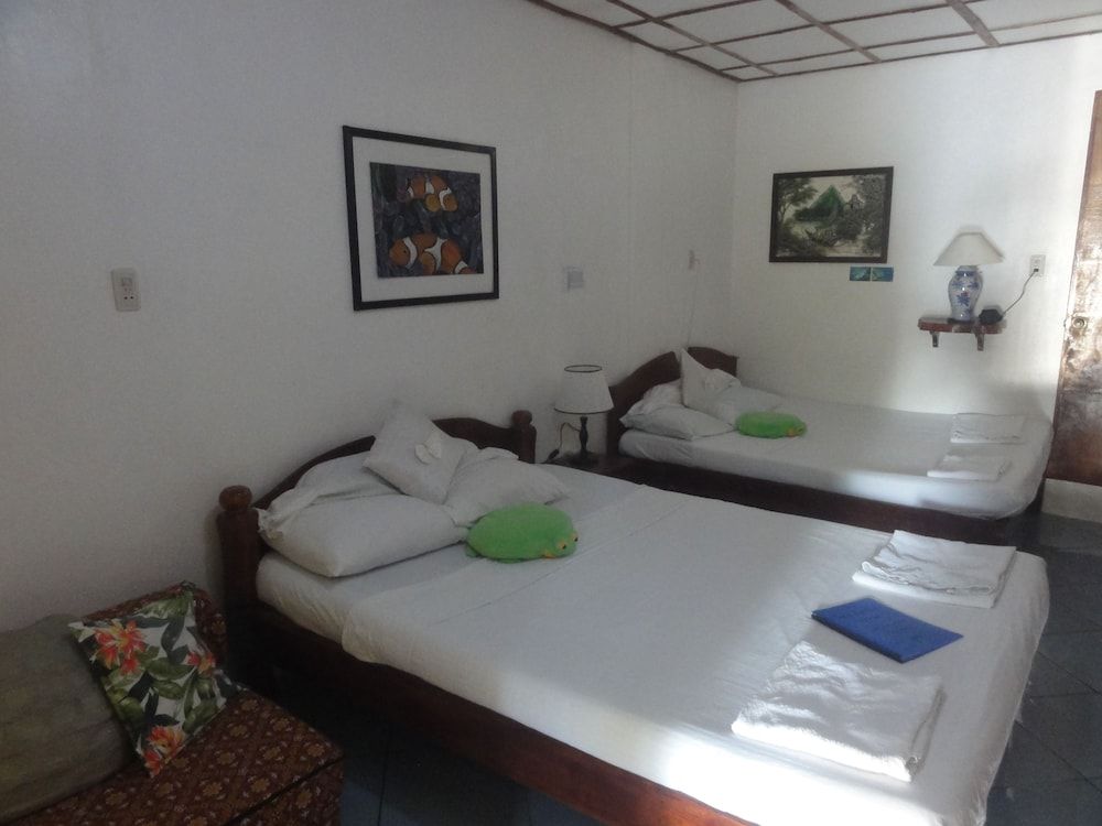 Sea Turtle House Sea Turtle Watch Room 2