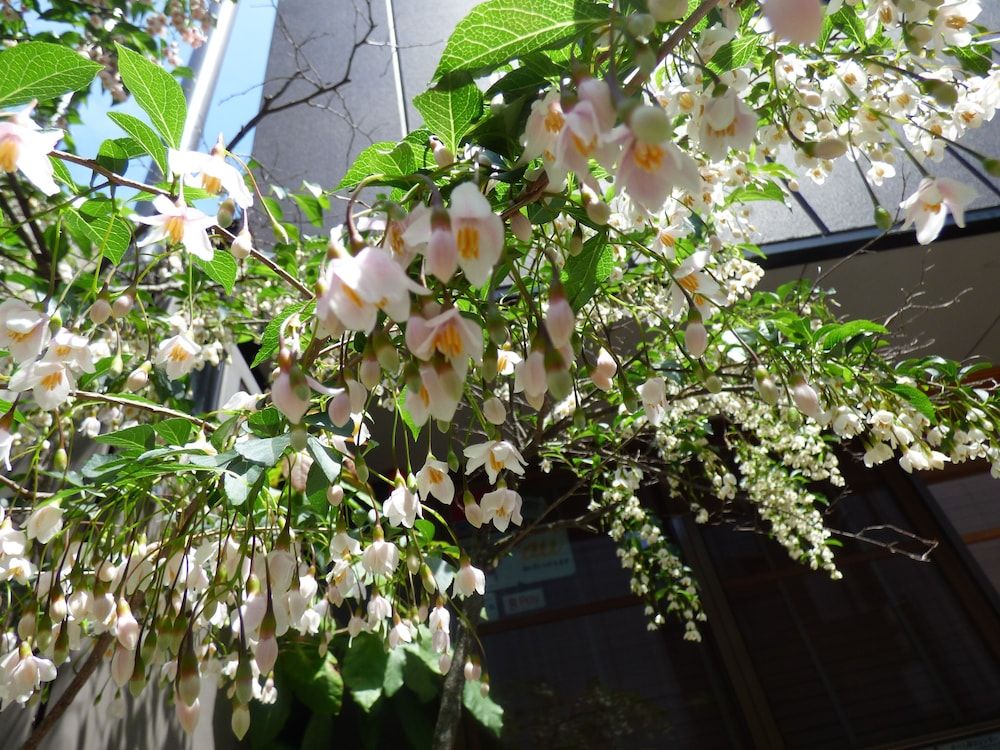 undefined Guesthouse Hyakumanben Cross 8