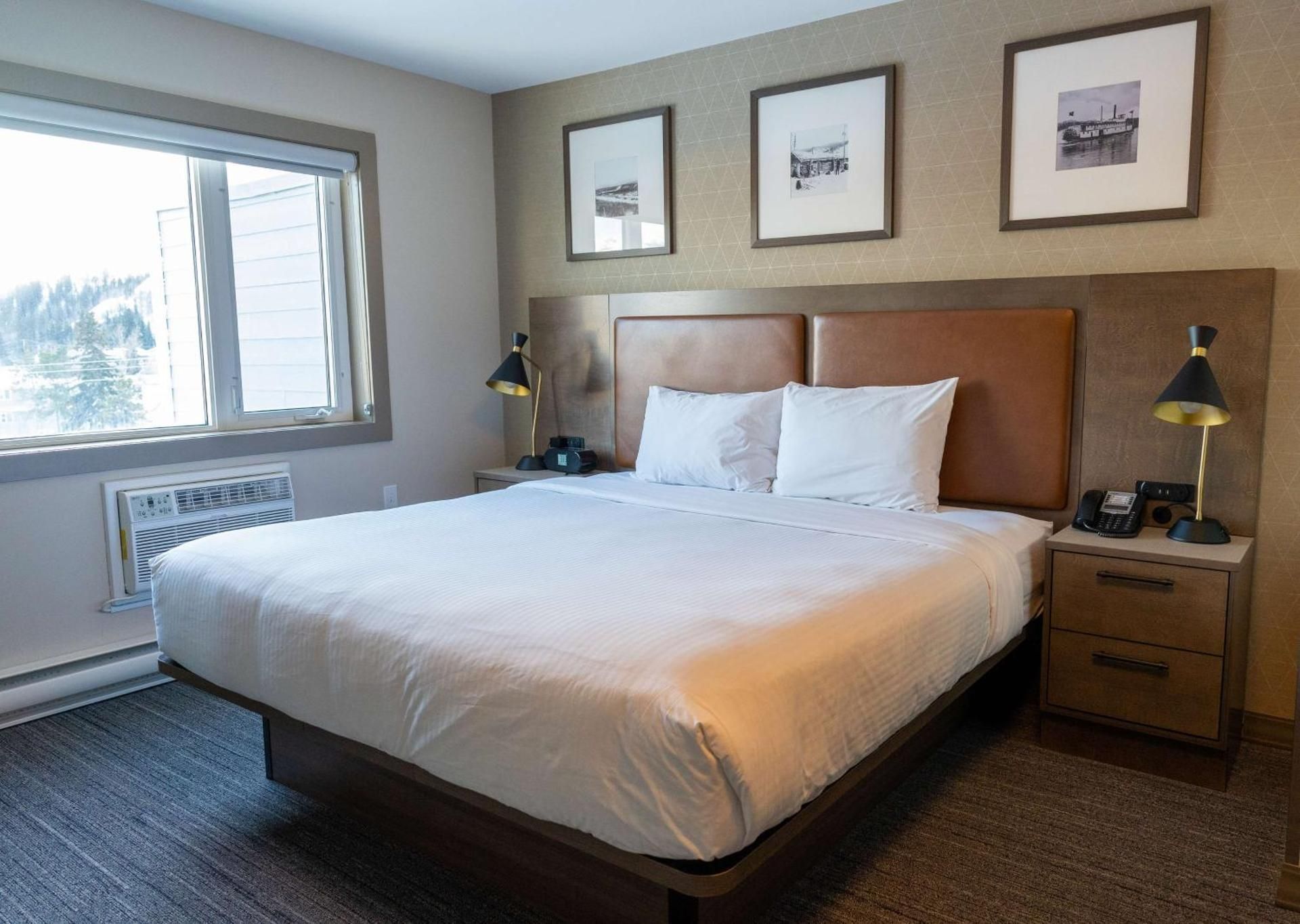 1 King Bed, Nonsmoking, Sofabed, Air Conditioning