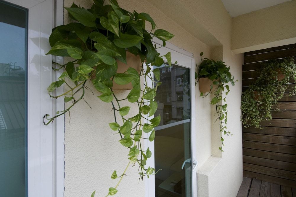 undefined Hotel Color 4