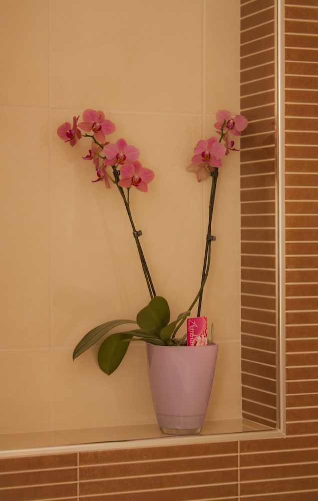 Green Park Apartments Superior Apartment, 1 Bedroom, Balcony 8