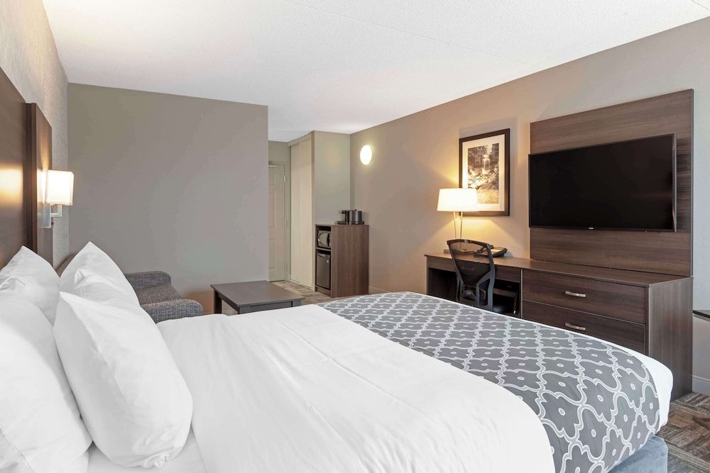 Standard Room, 1 Queen Bed, Non Smoking, Refrigerator & Microwave (with Sofabed)