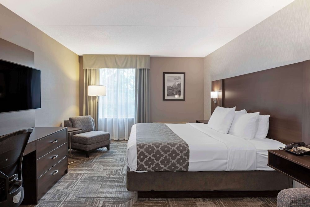 Standard Room, 1 King Bed, Non Smoking, Refrigerator & Microwave (with Sofabed)