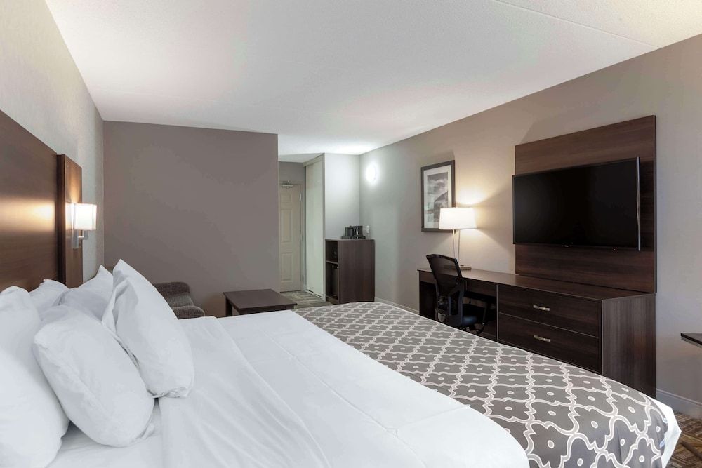 Standard Room, 1 King Bed, Non Smoking, Refrigerator & Microwave (with Sofabed)