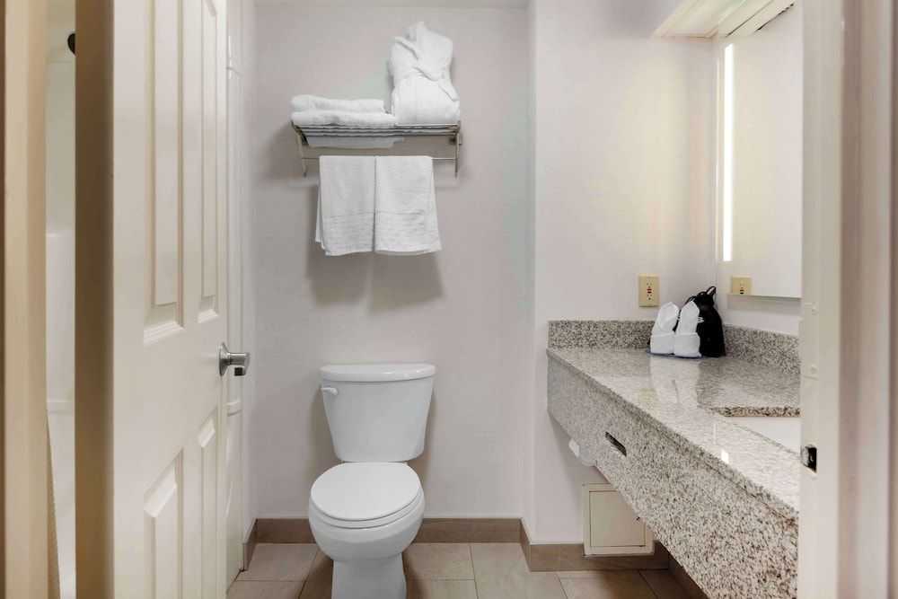 Suite, 1 King Bed, Non Smoking, Refrigerator & Microwave (Living Room;with Sofabed)