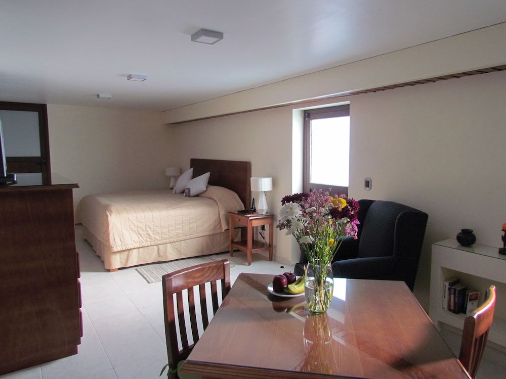 Superior Room, 1 King Bed, Terrace