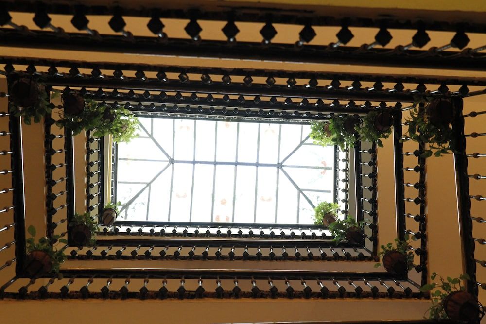 undefined Pace Helvezia 3