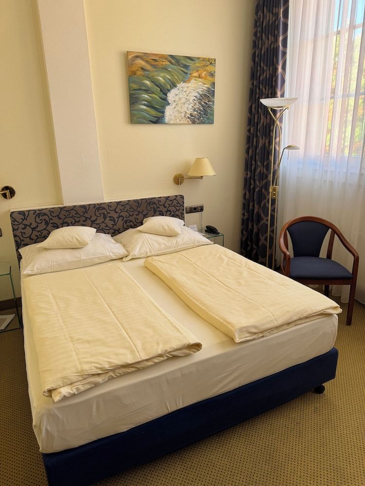 Hotel Viktoria Standard Double Room 2