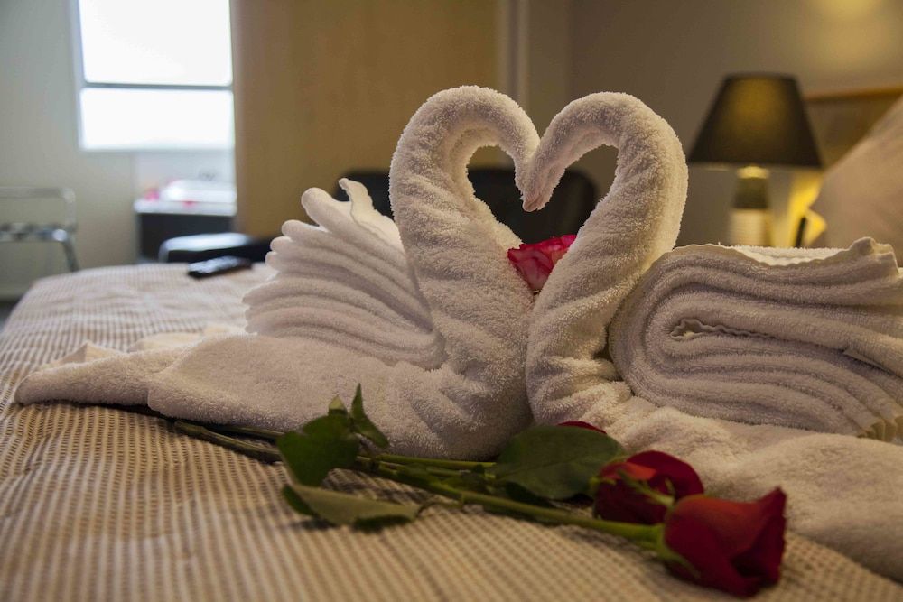 Arthur's Court Motor Lodge Executive Spa Suite 5