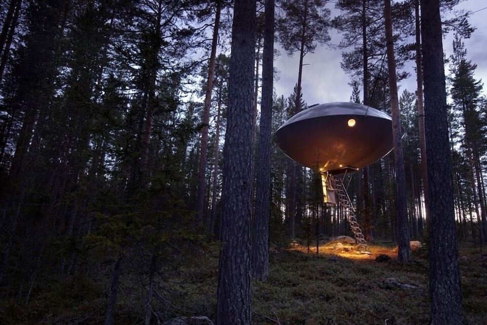 Tree Hotel The UFO 4