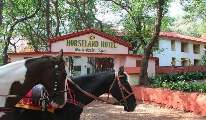 undefined Horseland Hotel and Mountain Spa 7