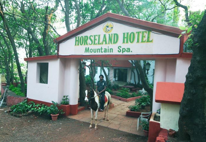 undefined Horseland Hotel and Mountain Spa 9