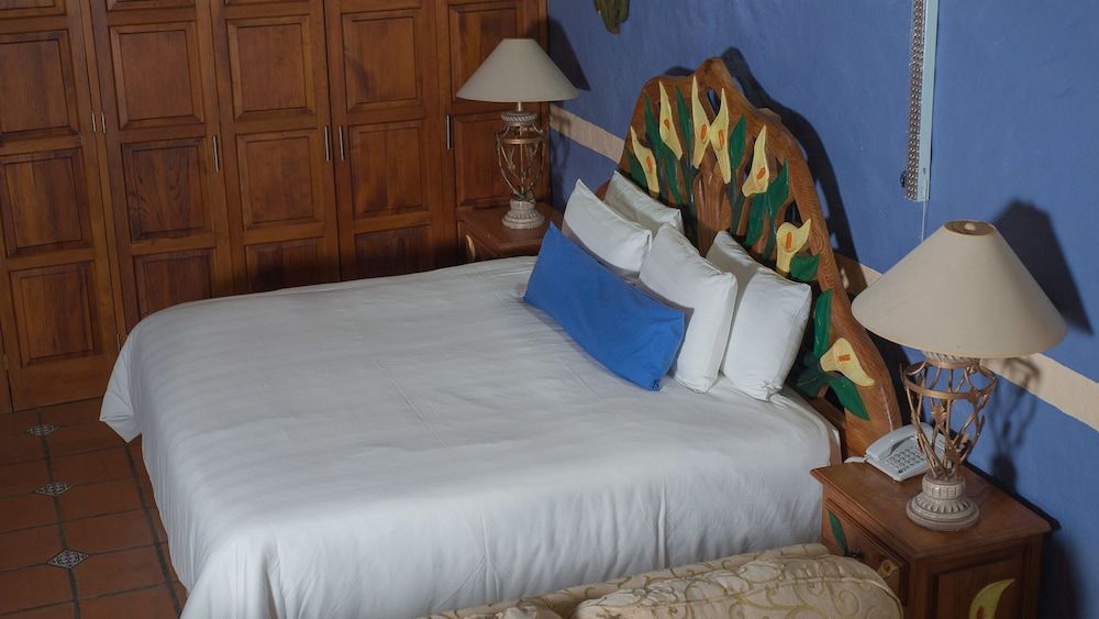 Hotel El Rebozo Standard Double Room, 1 King Bed, Garden View