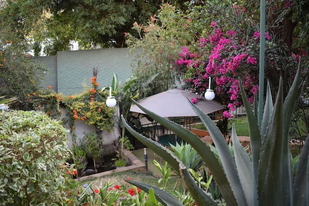 Water-based activities