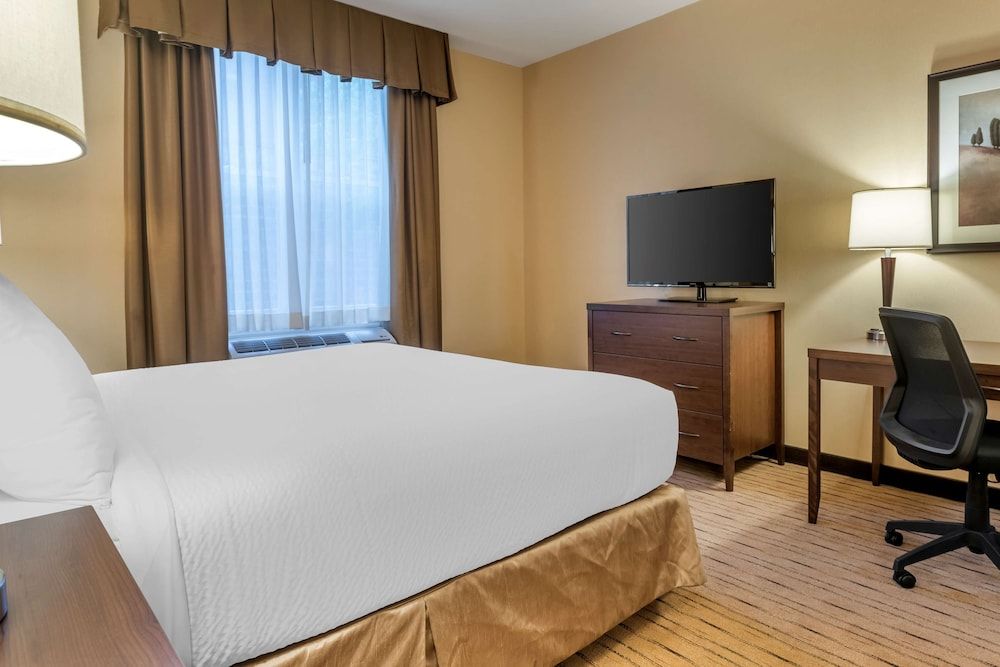 Best Western Plus Bathurst Hotel & Suites Standard Room, 1 King Bed, Accessible, Refrigerator & Microwave 4