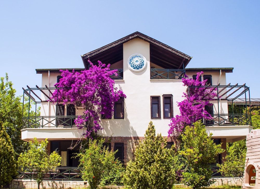 undefined Belkon Hotel 8