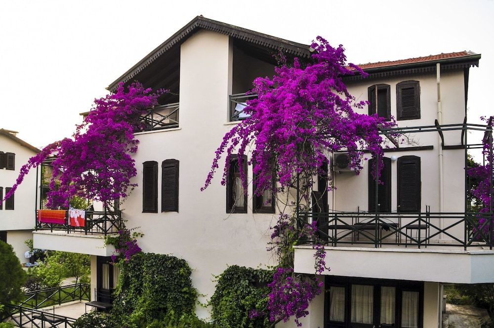 undefined Belkon Hotel 9