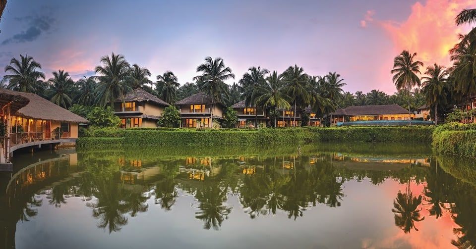 undefined Coco Lagoon by Great Mount 6