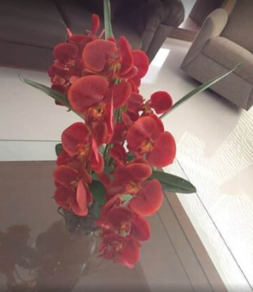 undefined Ibiza Barra Hotel 5