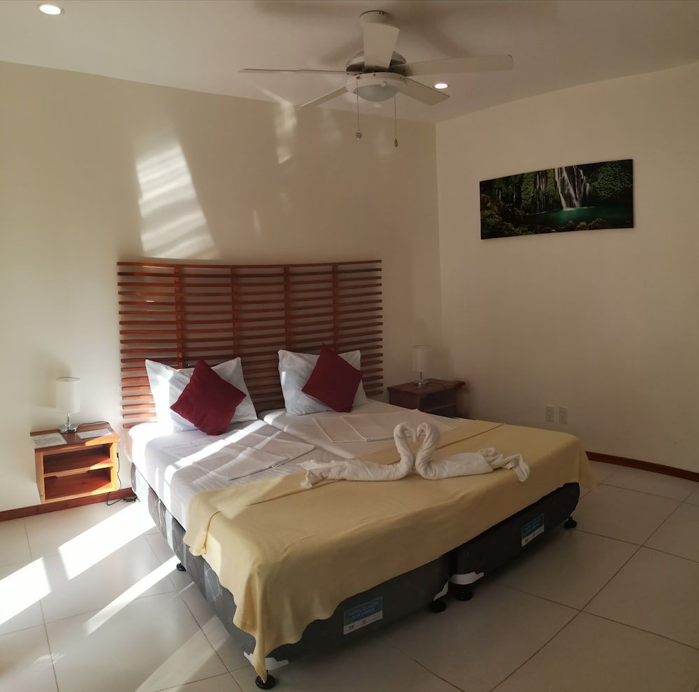 Quo Vadis Dive Resort Moalboal Deluxe Room, 1 Bedroom