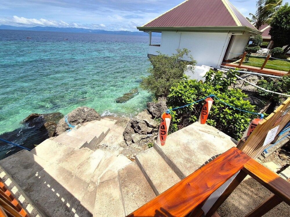 Quo Vadis Dive Resort Moalboal Exclusive Room 8