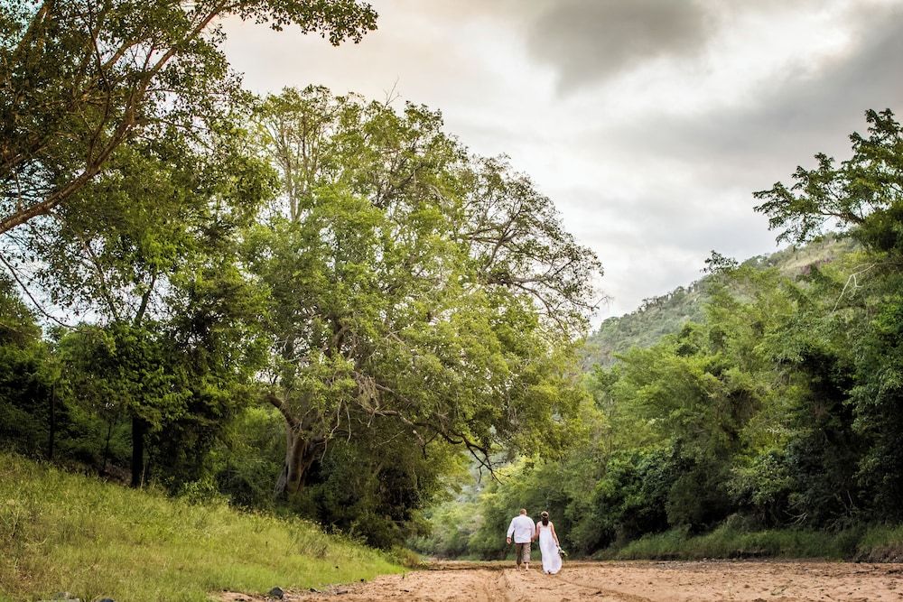 Outdoor Wedding Area